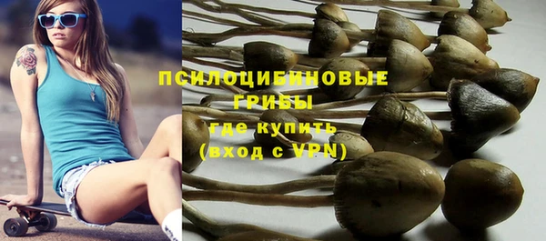 меф Бородино