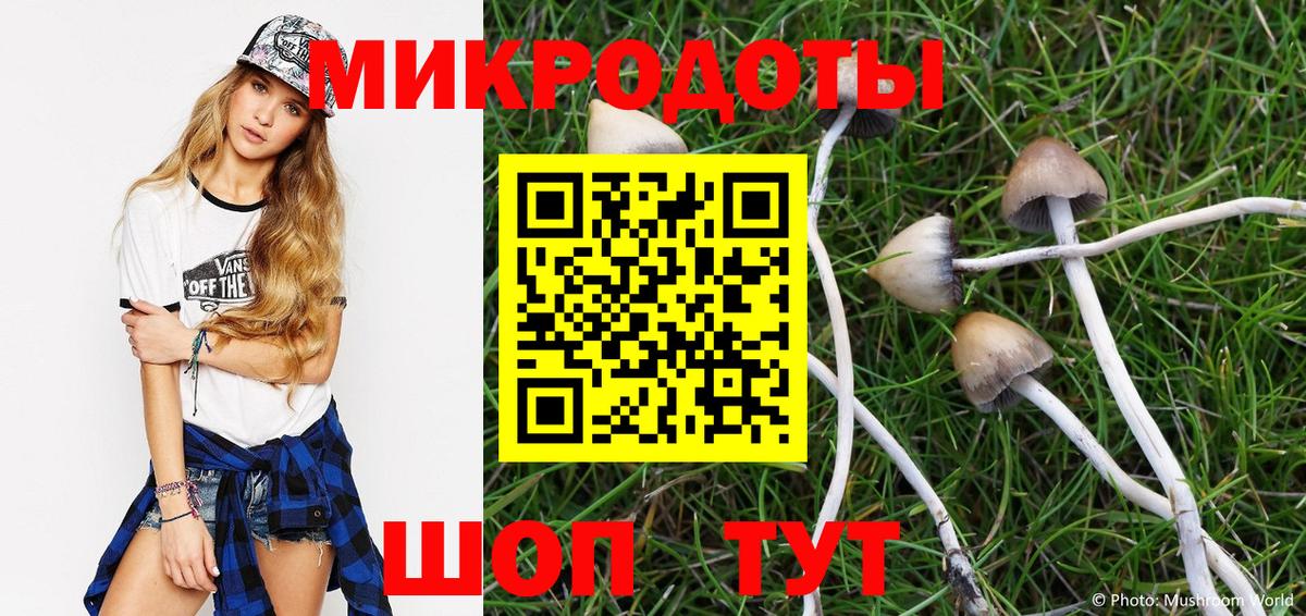 Кузнецк  Псилоцибиновые грибы мицелий  Вход с VPN 